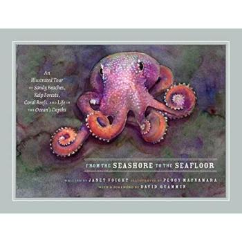 From the Seashore to the Seafloor : An Illustrated Tour of Sandy Beaches, Kelp Forests, Coral Reefs, and Life in the Ocean's Depths