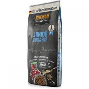 Belcando Junior Cordero y Arroz