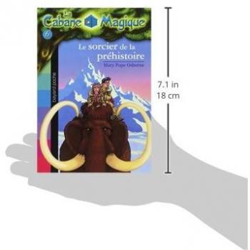 Le sorcier de la préhistoire