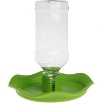 Lizard Feeder and Water Stand
