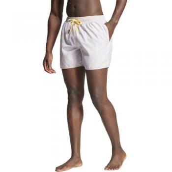Adidas Men's Silver Dawn/Spark Wave Swimming Shorts M