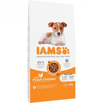 Lot IAMS Advanced Nutrition 2 x 12 kg