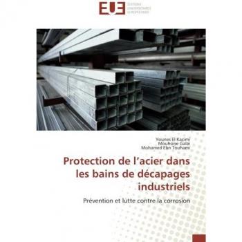 Protection de l'acier dans les bains de decapages industriels