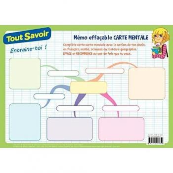 Mémo effaçable Carte mentale