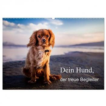Dein Hund der treue Begleiter (Wandkalender 2025 DIN A2 quer) CALVENDO Monatskalender