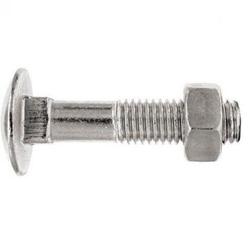 Tornillo métrico M5 x 30 con cabeza redonda, cuello cuadrado y tratamiento de zinc (paquete de 500 unidades)