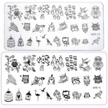 DIY Owl Nail Art Stamping Template Image Plate #12