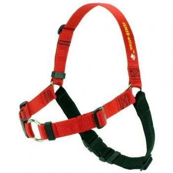SENSEation Harness