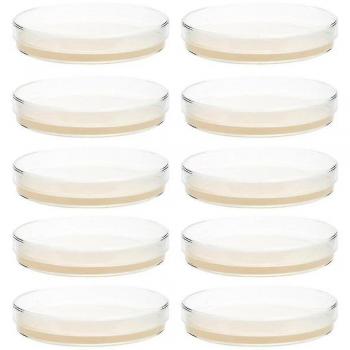 Kit de 10 Placas de Petri con Agar para Experimentos