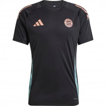 Maillot de Foot Bayern Munich Tiro 2024/25