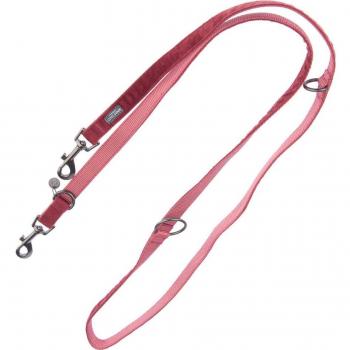 Set de collar y correa Nomad Tales Blush vino