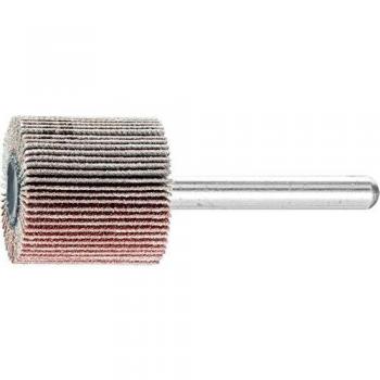 Pferd Fan Grinder F 2525/6 A120 – 10 Pieces