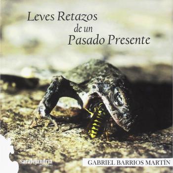 Leves retazos de un pasado presente (Tapa dura).