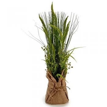 Planta Surtida de Juncos y Ramas en Bolsa Grande