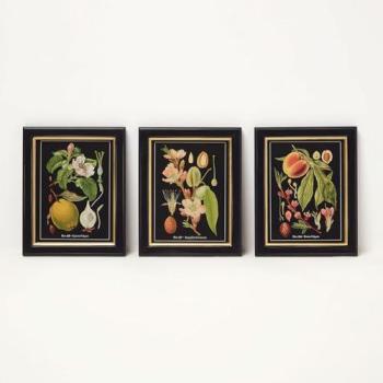 Elegant Fruit Wall Art Set – 20x25cm, 3 Pieces in Black