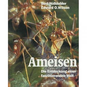Ameisen. Die Entdeckung einer faszinierenden Welt