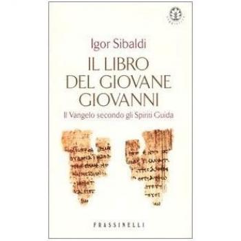 Il codice segreto del Vangelo. Il libro del giovane Giovanni