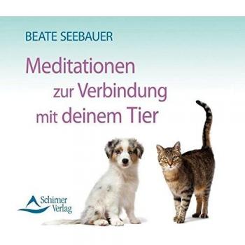 Beate Seebauer Meditation Zur Verbindung Mit Deinem Tier