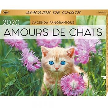Agenda panoramique Amours de chats 2020