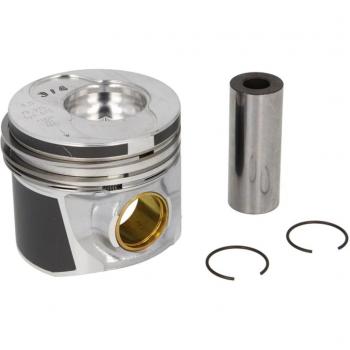 Pistón MAHLE 030 41 02