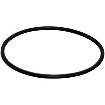 Schieber O-Ring 4312 von Fiamma