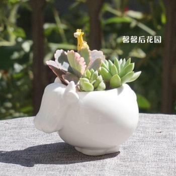 Maceta Decorativa de Cerámica con Animalito