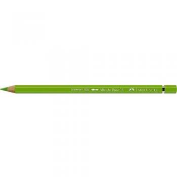 Crayon de couleur Albrecht Dürer 171