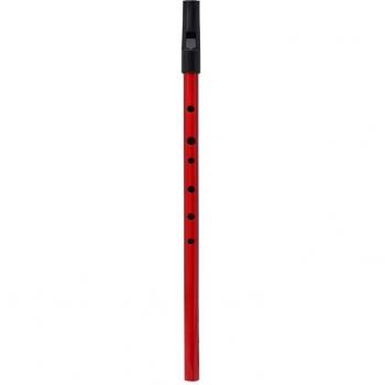 Tin Whistle Clave de D