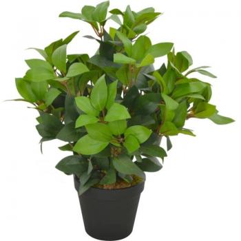 Árbol de Laurel Verde 40 cm