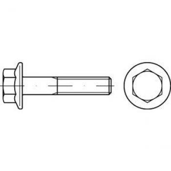Vis Hexagonale M20