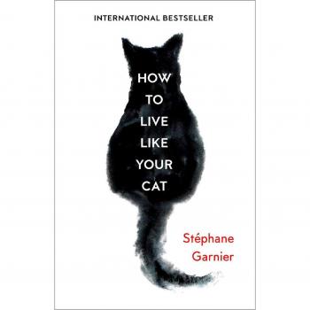 How to Live Like Your Cat