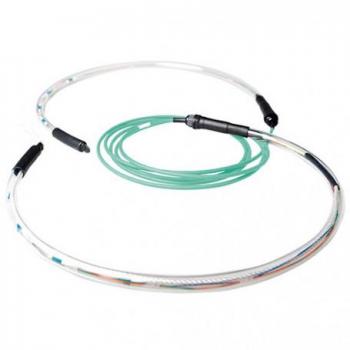 ACT CAT6 Gepanzertes Netzwerkkabel (80 m, UTP)