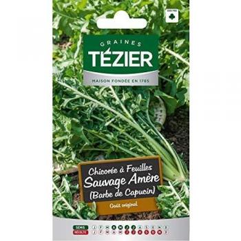 Tezier