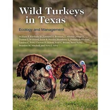 Wild Turkeys in Texas