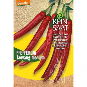 Peperoncino Taeyang di ReinSaat