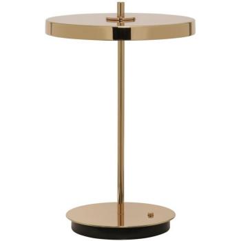 Polished Brass Asteria LED Lamp – UMAGE
