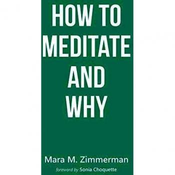 How To Meditate And Why