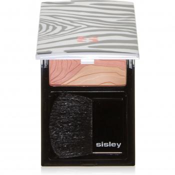 Blüte der Mango Duo Phyto-Blush 3‑04 7 g