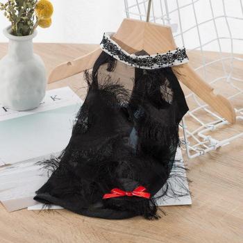 Summer Lace Outfit for Small Dogs