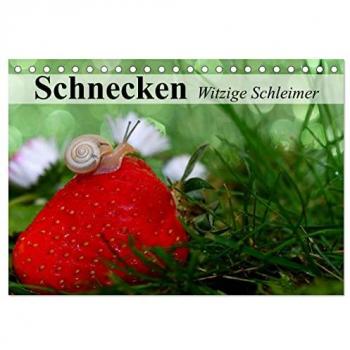 Schnecken. Witzige Schleimer (Tischkalender 2025 DIN A5 quer) CALVENDO Monatskalender