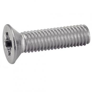 Vite Inox A2 6x80 mm (Pozidrive) – Set di 100 pezzi