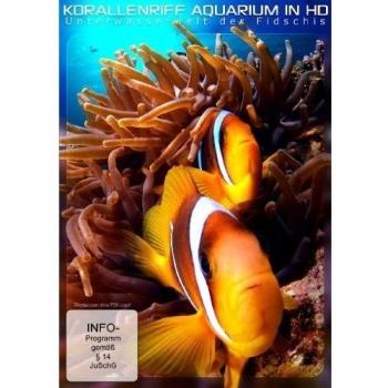 Korallenriff Aquarium in HD