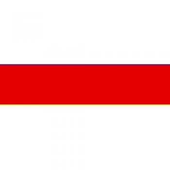 Bandera XL de la Transilvania histórica
