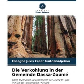 Gnitonnadjèhou, Essègbê Jules César: Die Verkohlung in der Gemeinde Dassa-Zoumé