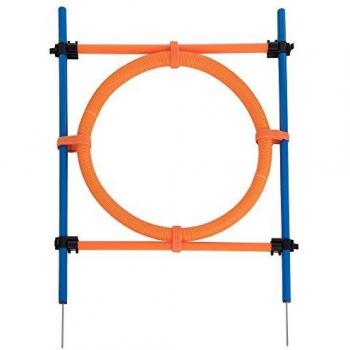 Agility Fun & Sport Kit 12 piquets slalom pour chien