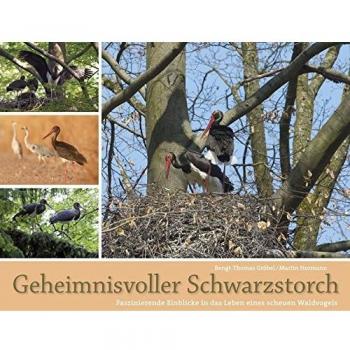 Geheimnisvolle Schwarzstörche