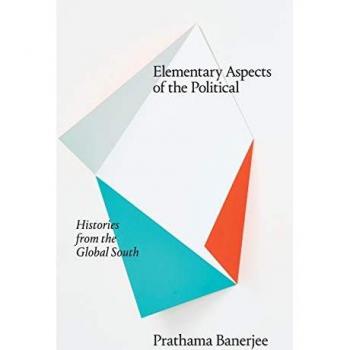 Elementary Aspects of the Political: Histories from the Global South (Theory in Forms)