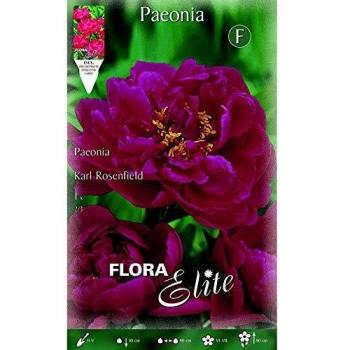 Bulbo Primaverile Peonia Rosa – Karl Rosenfield
