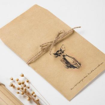 Cute Mini Envelopes