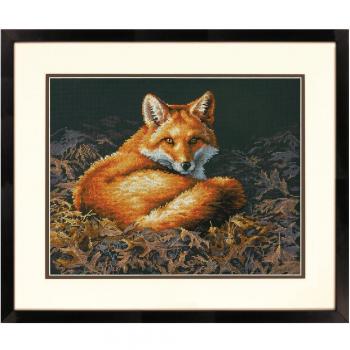 Dimensions Sunlit Fox Gallery Wrapped Canvas, 14 by 11-Inch